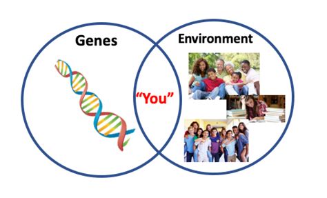 Genes, Environment, and Youth Development (Su) | Department of Psychology