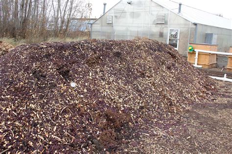 Turning pomace into compost – Good Fruit Grower