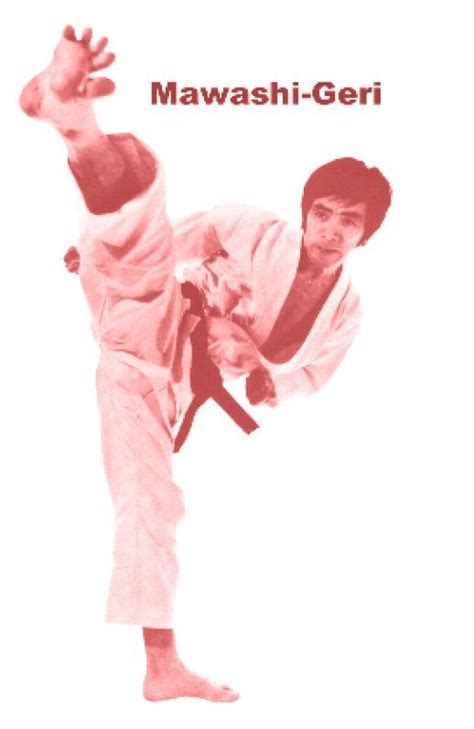 Mawashi-Geri | Karate shotokan, Karate, Marcial