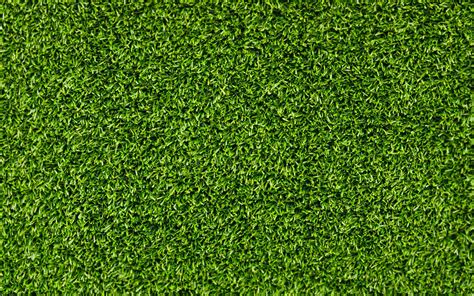 Hd Grass Wallpaper - WallpaperSafari