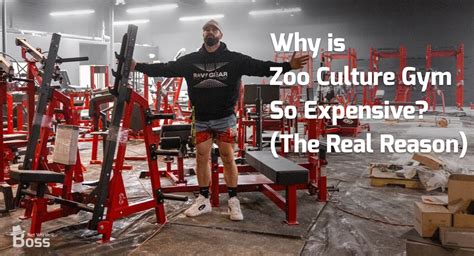 Why is Zoo Culture Gym So Expensive? (The Real Reason)