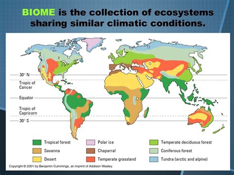 Pin by Aryanka Patra on ENV-GEOGRAPHY | Temperate deciduous forest ...