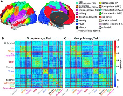 A Common FC Organization Is Present during Task and Rest States (A) FC ...