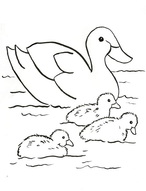 Duck Family Coloring Page - Art Starts