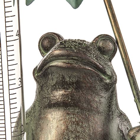 Metal Frog Statue Glass Rain Gauge – PW MEASUREMENT, LLC