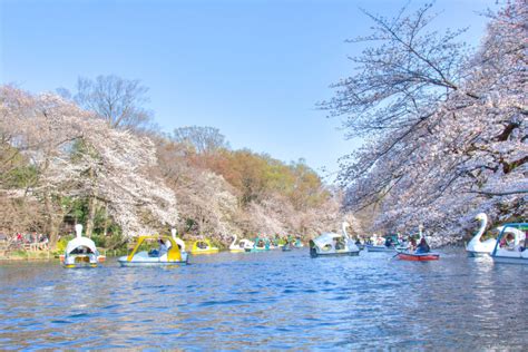 Inokashira Park – Page lakbayer.com|category|places|japan|inokashira ...