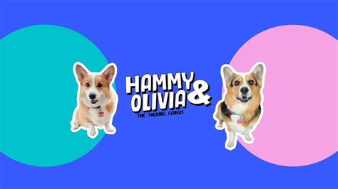 Hammy and Olivia - Net Worth, Income & Estimated Earnings