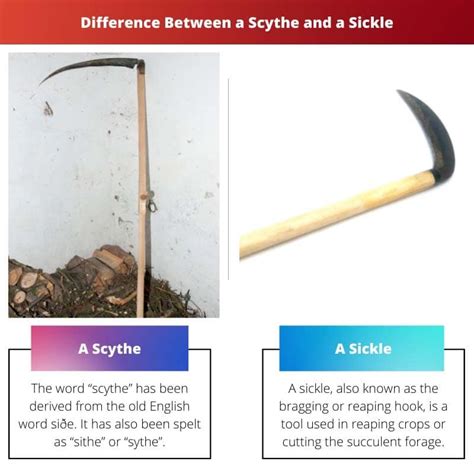 Scythe vs Sickle: Difference and Comparison