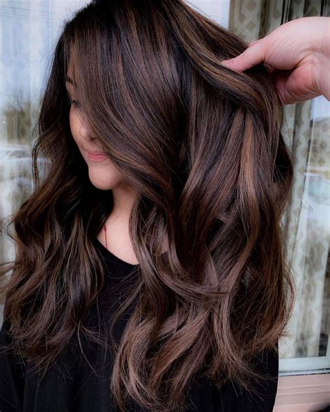 light chocolate brown hair formula - Wheeler Weblogs Photo Galleries