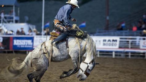 Cowboy up this Summer with these Can't-Miss Wyoming Rodeos