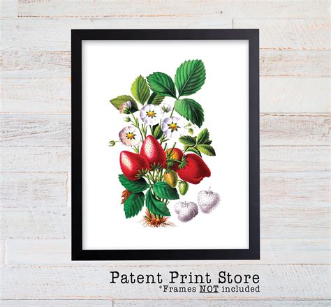 Strawberry Art Print. Strawberry Plant Print. Strawberries. | Etsy