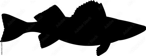 Walleye Pike Fish Silhouette Vector Stock Vector | Adobe Stock