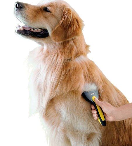 Dog Brushes for Shedding | 14 Best Dog Brushes for Shedding