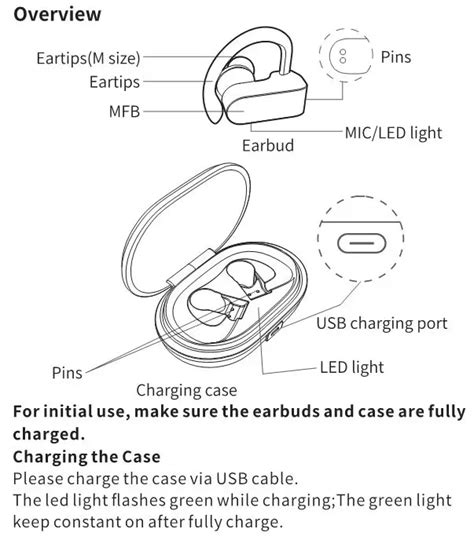 True Wireless Earbuds User Manual