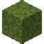 Minecraft Moss Block Texture