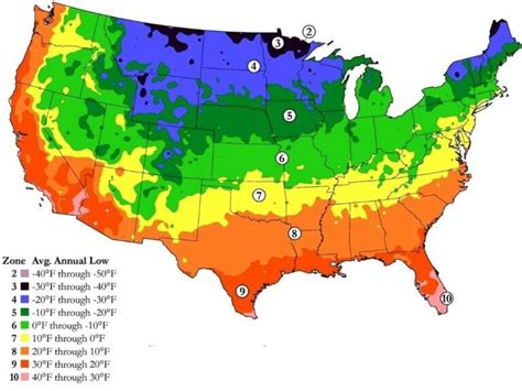 Here is the BEST Time to Plant Eggplant in Hardiness Zone 9 (2023 ...