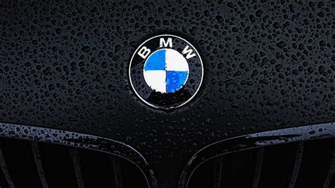 Bmw Motorsport Bmw Logo Wallpaper 4K - Bmw M5 Logo Wallpapers Wallpaper ...