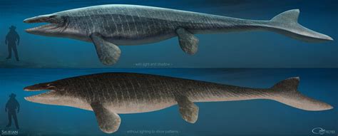 Saurian-Mosasaurus by arvalis on DeviantArt