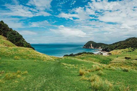 Landscape Photo Print - Whangarei Heads - NZ - Scottvs. Photohgraphy