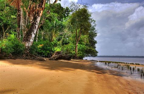 Exploring the Essequibo: Guyana's Mighty Watercourse | LAC Geo