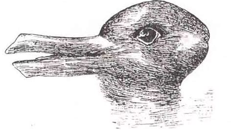 Optical illusion: This 19th century duck-rabbit test reveals if you're ...