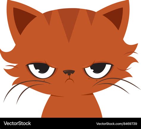 Angry cat cartoon cute grumpy cat Royalty Free Vector Image