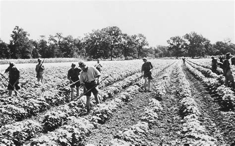 The Oil Boom's Roots in East Texas Cotton Farming – Texas Monthly