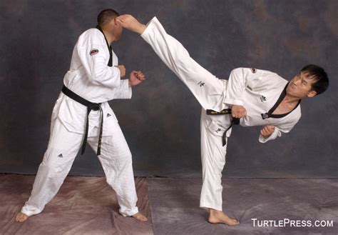 Analysis of Taekwondo's Spinning Kicks -- Turtle Press