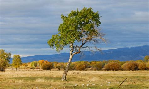 Missoula Montana Tourism Attractions - AllTrips