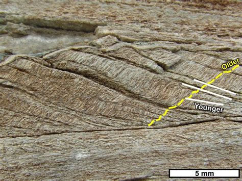 Tectonics and Structural Geology | Features from the field: crenulation ...