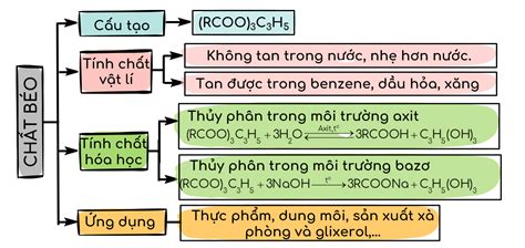 Hình minh họa Trong cơ thể động vật, chất béo tập trung ở đâu?