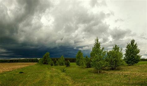 720P free download | Cloudy Day, tree, nature, cloud, field, HD ...