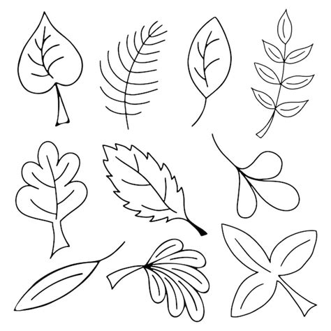 Leaf Outline Images - Free Download on Freepik