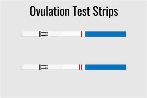 How to Use Ovulation Test Strips? - Being The Parent