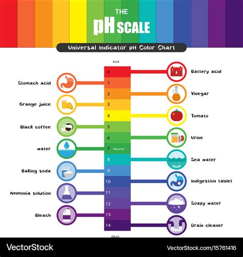 Ph scale universal indicator color chart Vector Image