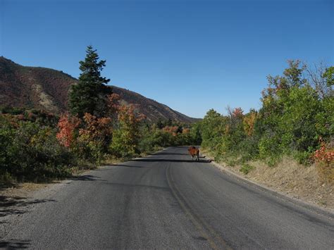 Mount Nebo Scenic Byway (Nebo Loop) in Utah 2025 - Rove.me