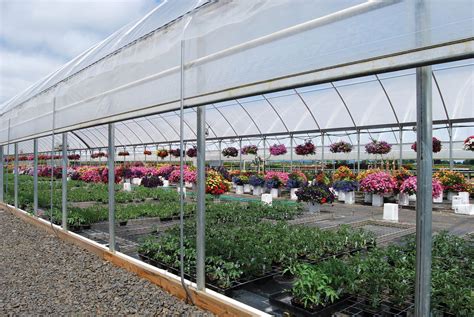 Commercial Greenhouses - Garden & Greenhouse