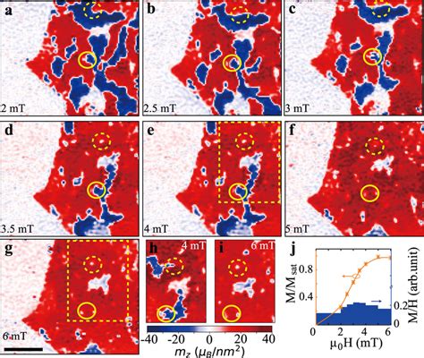 Magnetic domain evolution upon increasing the external magnetic ...