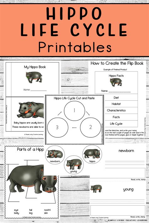 Hippo Life Cycle Printables - Simple Living. Creative Learning