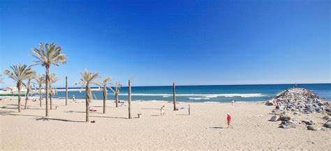 a beach with palm trees and people on it