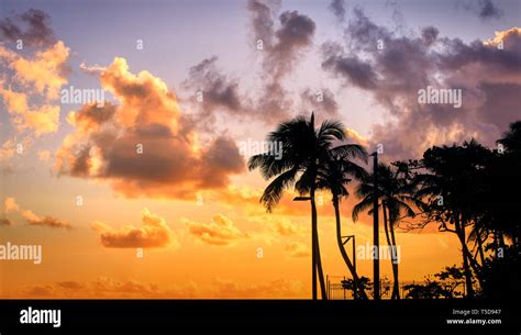 Beautiful sunset clouds and palm trees on Puerto Rico Beach Stock Photo ...