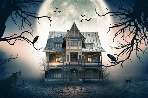 Interactive Haunted Houses 2024 - Lissy Rosanna