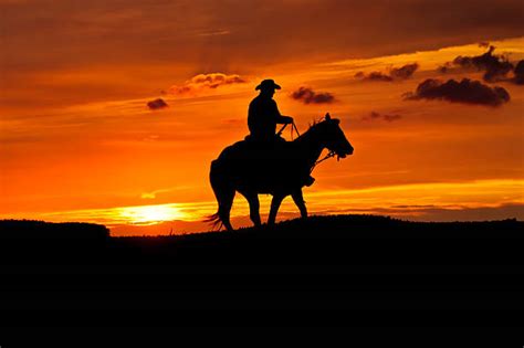 1,700+ Cowboy Horse Silhouette Sunset Stock Photos, Pictures & Royalty ...