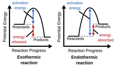 Exothermic Graph Labeled