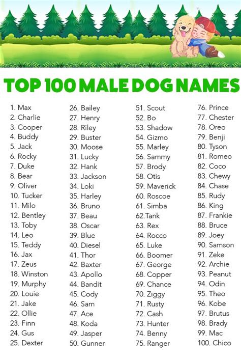 Top Boy Dog Names on Sale | cityofclovis.org