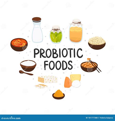 Vector Probiotic Foods. Best Sources of Probiotics. Beneficial Bacteria ...