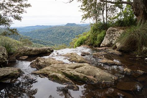 Gold Coast Hinterland Great Walk (54km) - Gold Coast Hinterland, QLD