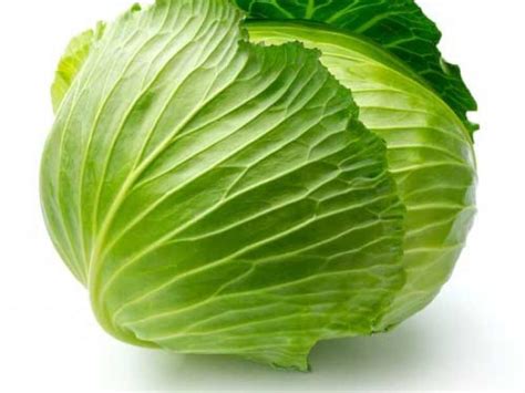 Cabbage Nutrition Facts - Eat This Much