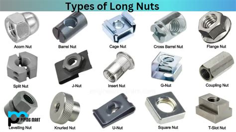 5 Types of Long Nuts and Their Uses