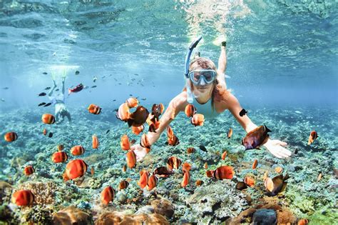 Do’s And Don’t’s Of Snorkeling | Hanauma Bay Snorkel Adventures